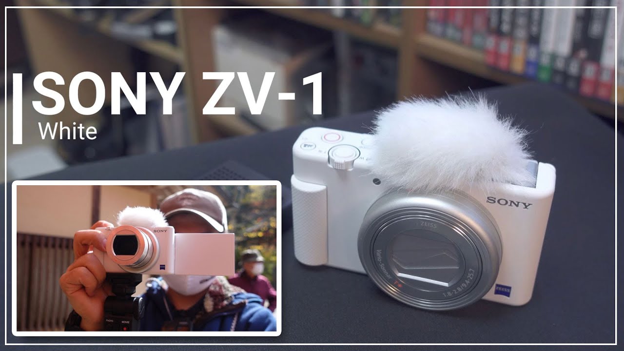 カメラまとめ IMX290 Camera Modules - High-Sensitivity 1080p Sensor for