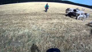 Behind the scenes: Taking photo of a shepherd