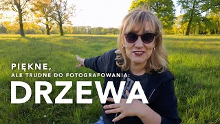 Trudne tematy w fotografii: drzewa.