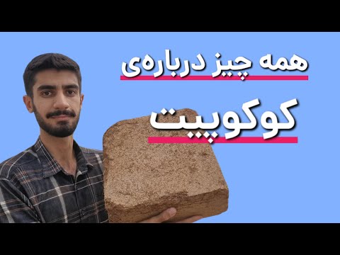 همه چیز درباره ی کوکوپیت
