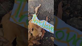 Treehouse Tv Bumpers My Au