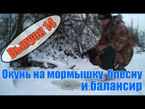 ловля ерша в подмосковье