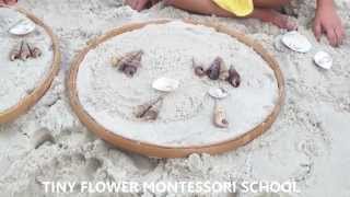 Vui cùng toán học - Tiny Flower Montessori School