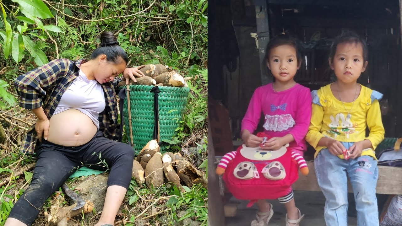 The widowed mother went to dig cassava to sell, Ngoc and her sister ...