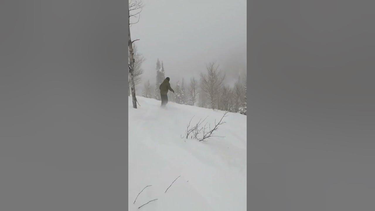 2024 Snowboarding Preview snowboarding snowboard winter powder 