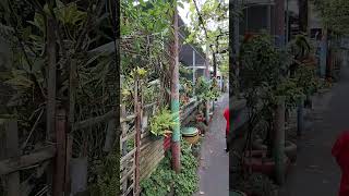 Download Lagu Salah satu gg di jl mt haryono #bondowoso MP3