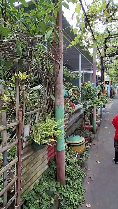 Salah satu gg di jl mt haryono #bondowoso