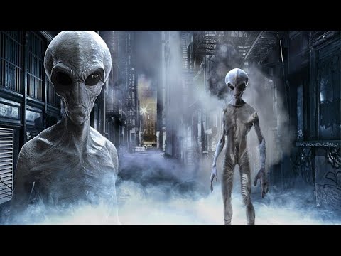 El Velo - Lo que Muy Pocos Saben