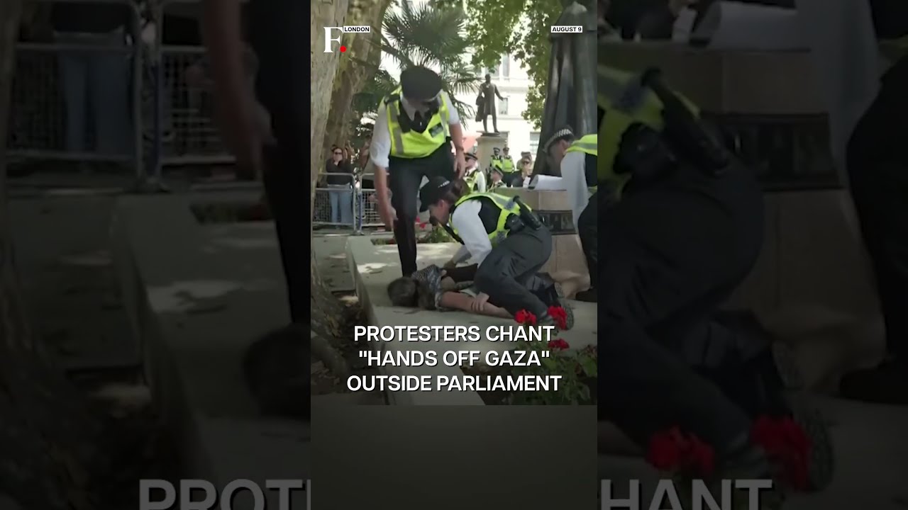 UK Police Arrest Hundreds At London Protest Against Palestine Action Group S Ban N18G