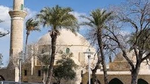 الشيخ عبدالوارث عبدالعزيز الإمام رحمه الله\ما تيسر من سورة الأنبياء