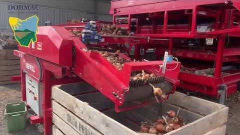 Tong Mini Easy Fill Box Filler Onions