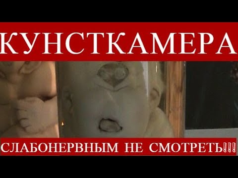 КУНСТКАМЕРА - СЛАБОНЕРВНЫМ, ОСОБО ВПЕЧАТЛИТЕЛЬНЫМ НЕ СМОТРЕТЬ!!!