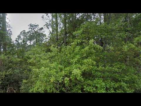 107 Glenside Street, Georgetown, FL home video tour