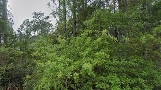 107 Glenside Street, Georgetown, FL Presented by Mark Naumovitz.