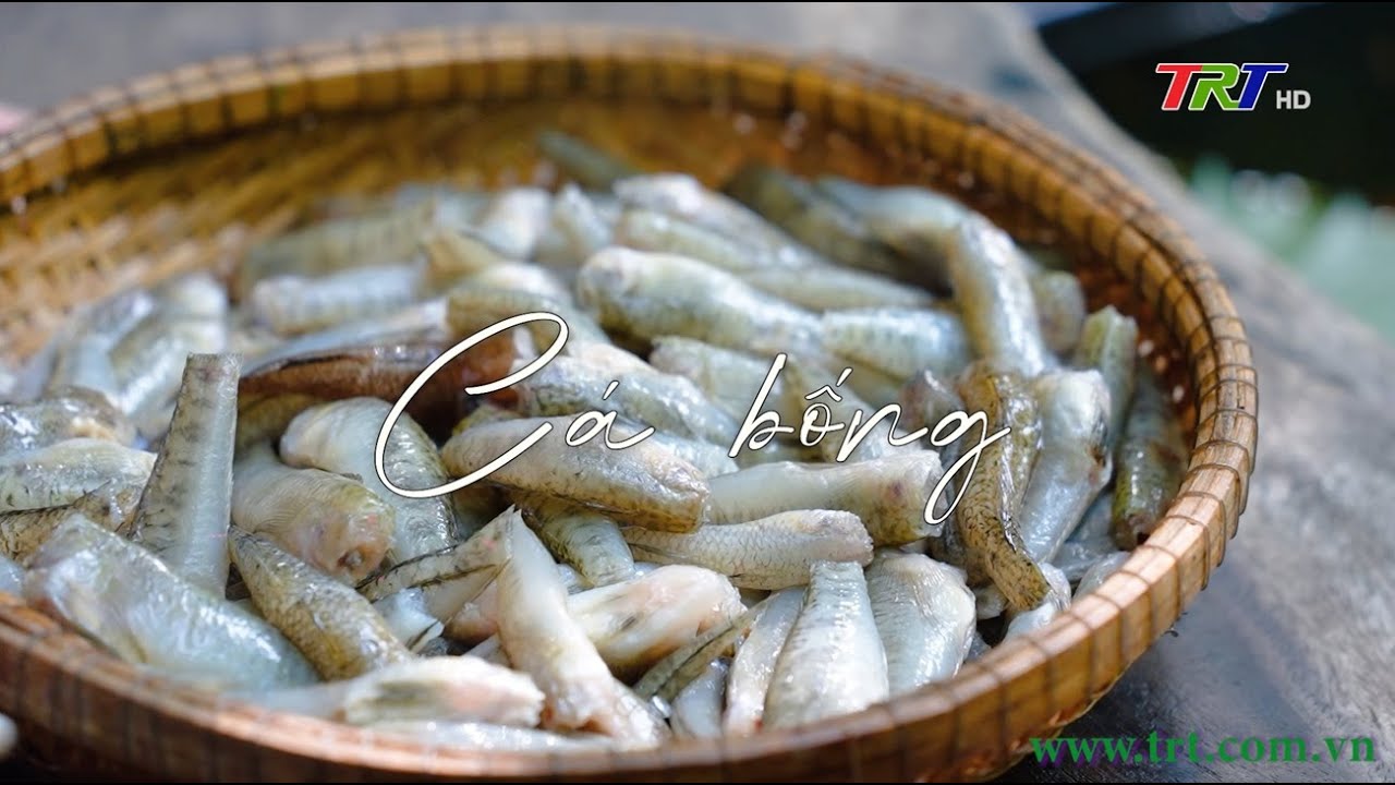 Huế - Miền ký ức (Tập 2): Cá bống