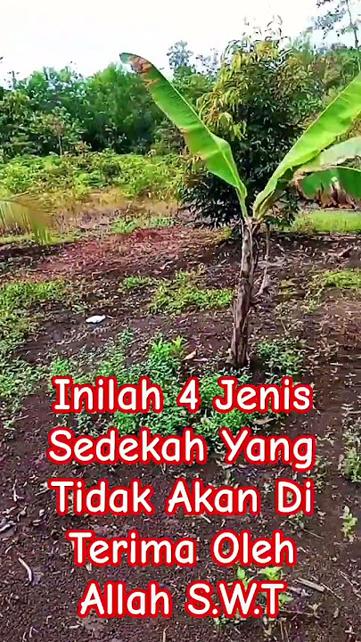 Inilah 4 Jenis Sedekah Yan Tidak Di Terima #papuaselatan #shortvideo #shortsviral #motivasiislam