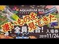 【アクアリウムバス２０１９】品種改良メダカに金魚にベタにエビにヘビにカメにアクセサリーに指輪。（熱帯魚、爬虫類、小動物、両生類）凄いもん見させてもらって大満足。