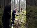 Did I nail my FIRST campfire? #forest #camping #forestwhispers #bushcraft #survival