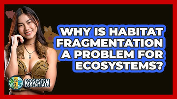 Why Is Habitat Fragmentation A Problem For Ecosystems? - Ecosystem Essentials
