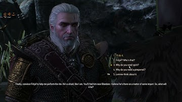 Witcher 3: Talk to gremist - Practicum in advanced alchemy