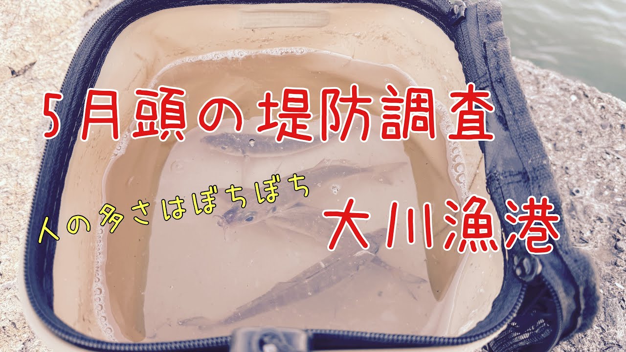 【釣り】行ってそうで行ってなかった漁港の調査してきた