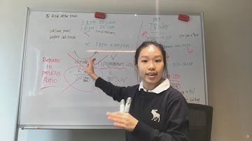 How to Calculate Impermanent Loss on Uniswap: Math Step By Step Tutorial