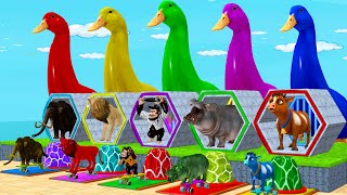 5 Giant Duck, Monkey, Piglet, chicken, dog, dinosaur, Sheep, Transfiguration funny animal 2023