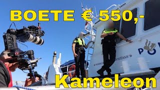 KAMELEON OP DE BON!