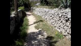 Bezopasna Zmija Na Silbi