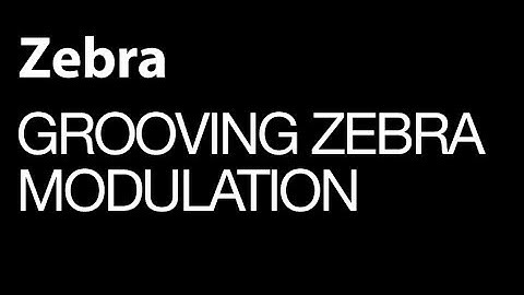 Uhe Zebra - Grooving Zebra Modulation - How To Tutorial