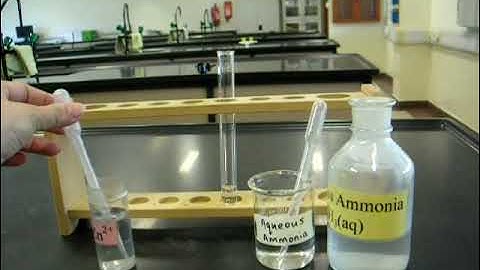 Tests for cations react with dilute ammonia solution
