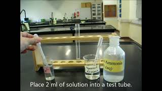 Tests for cations react with dilute ammonia solution