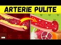 ♥️ Arterie Pulite: 10 alimenti che salvano il tuo cuore 🫀