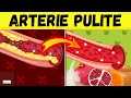 ?? Questi 10 ALIMENTI puliscono le ARTERIE e SALVANO il tuo CUORE ?