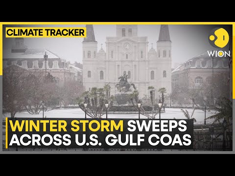 Do Cbd Gummies Really Help With Tinnitus [gzhkc10Ww8]