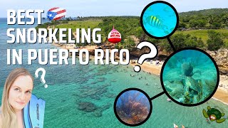 Amazing Beaches In Puerto Rico You Have To Visit | Best Snorkeling In Puerto Rico