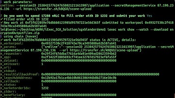 iExec end-to-end solution demo