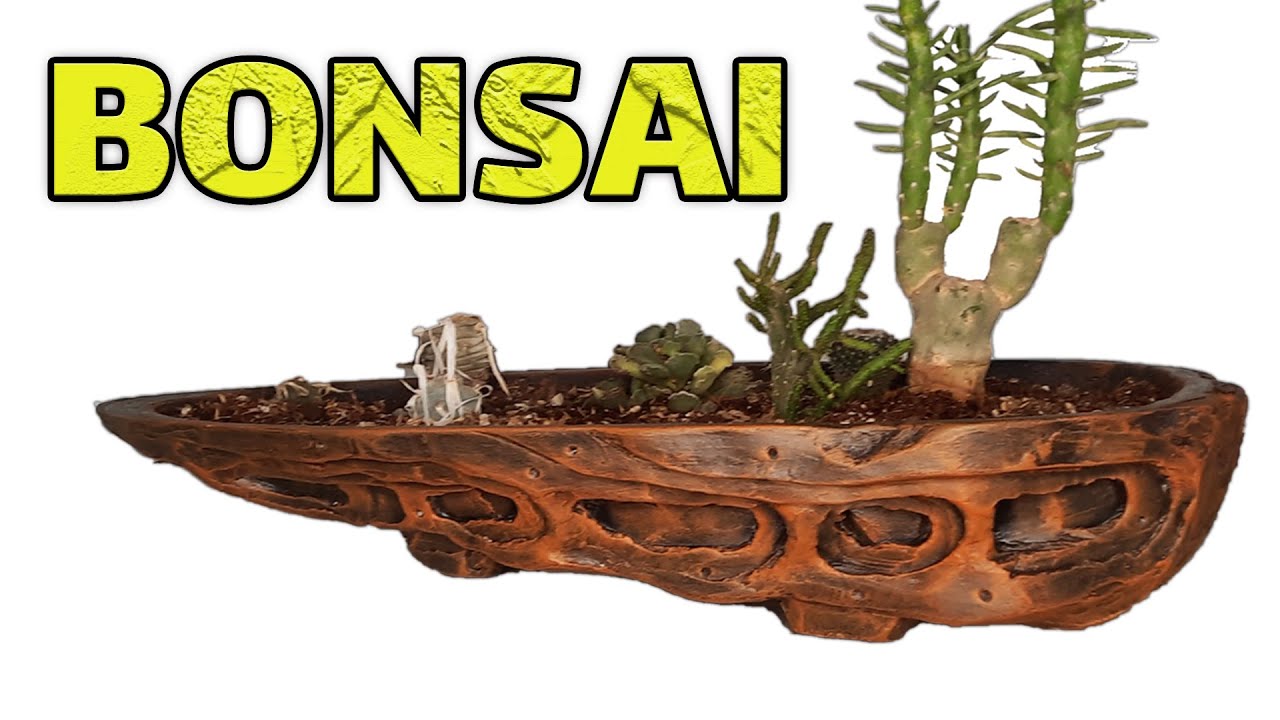 How to make a bonsai pot with cement pot bonsai Spatial bonsai pot