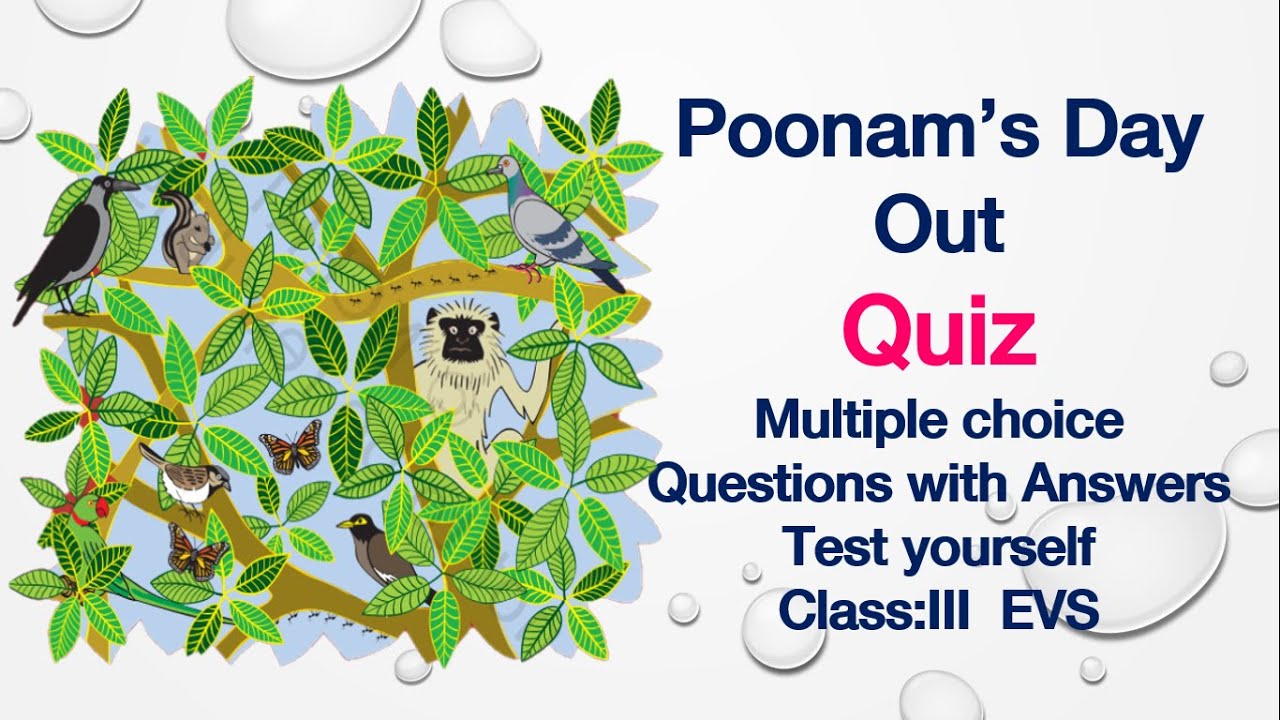 Quiz(Test yourself)-Poonam's Day Out-Class 3-EVS-NCERT-CBSE-Multiple ...