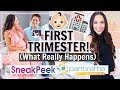 FIRST TRIMESTER OF PREGNANCY! EARLIEST SYMPTOMS, DOCTORS, WHAT YOU NEED TO KNOW!