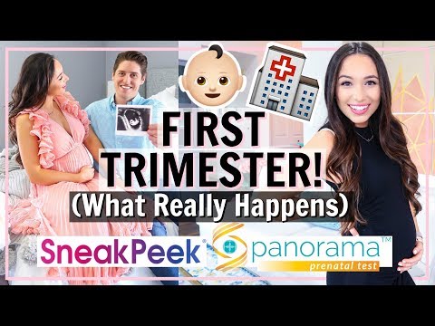 first-trimester-of-pregnancy!-earliest-symptoms,-doctors,-what-you-need-to-know!