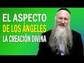 El Aspecto de los Ángeles | La Creación Divina