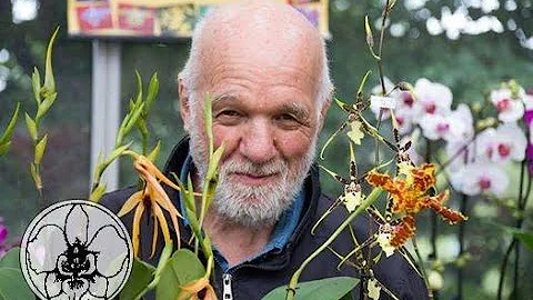 Quali sono i fiori che durano di più?