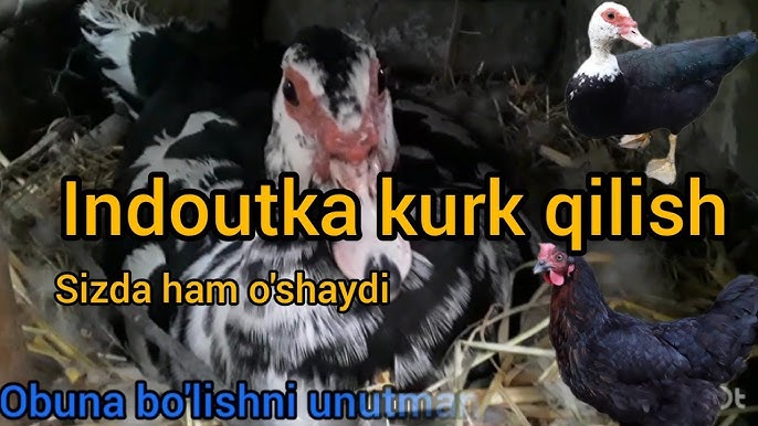 Porno barcha keksa va yosh insest Rus pornosini tomosha qiling: Yigit ozining eng yaxshi dostining onasini sikadi.