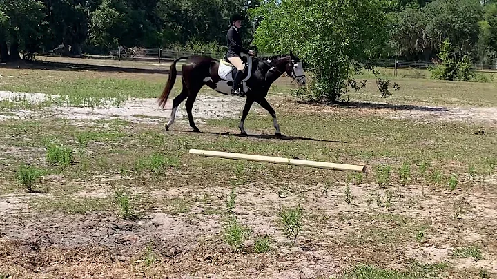 Lilly Jewett - English Equitation U/S (W/T)