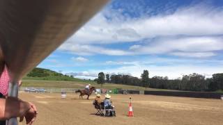 Buster and Kyra barrels K ranch