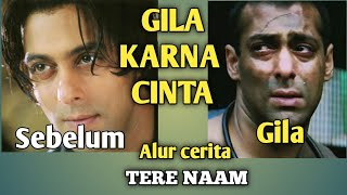 Alur cerita Tere Naam 😥
