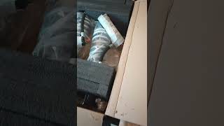 2023 Solar Octane Tacoma TRD PRO Fox 2.5 Performance Elite Series DSC shocks from Accutune Off-Road