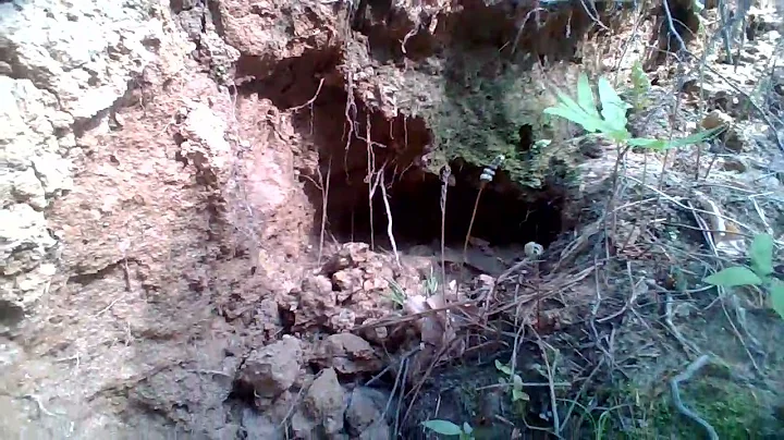 scary cave at Falls lake