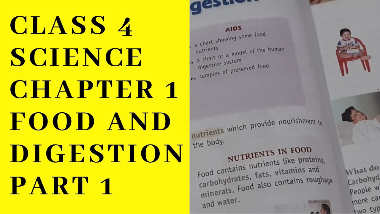 CLASS 4 SCIENCE CHAPTER 1 FOOD AND DIGESTION. (PART-1)